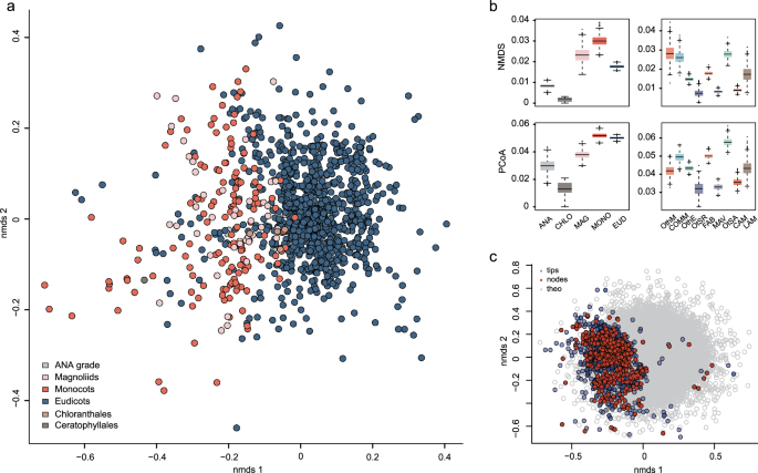 Fig. 2: The angiosperm pollen morphospace.