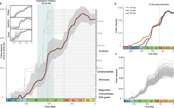 Fig. 4: Angiosperm pollen disparity (sum of variances, SOV) through time.