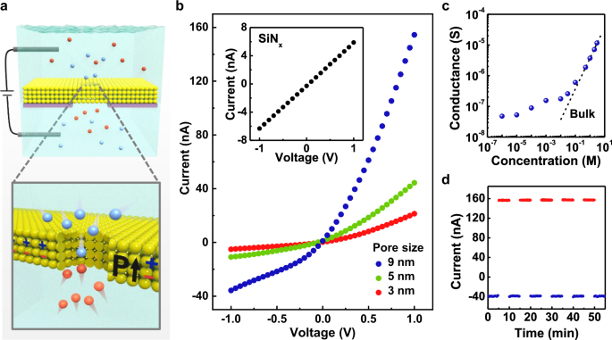 Fig. 2: Transmembrane ion transport of the ferroelectric BFO nanopore ionic diodes.