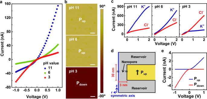 Fig. 3: pH-regulated ferroelectric polarization switching and inversion of ICR.