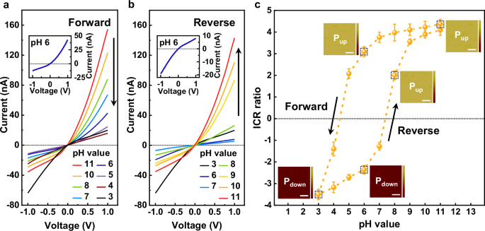 Fig. 4: Hysteretic ion rectification transport.