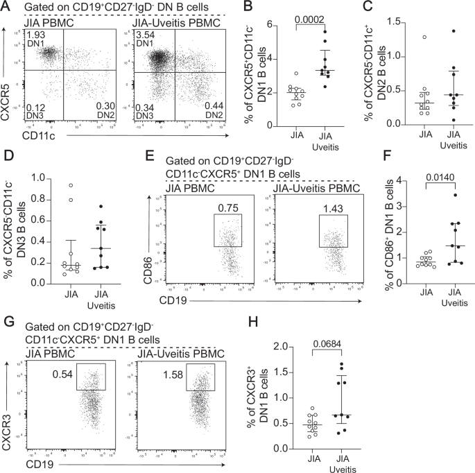 Fig. 2: DN1 B cells are significantly expanded in the peripheral blood of JIA-uveitis patients compared to JIA patients and show features of altered activation and migration.