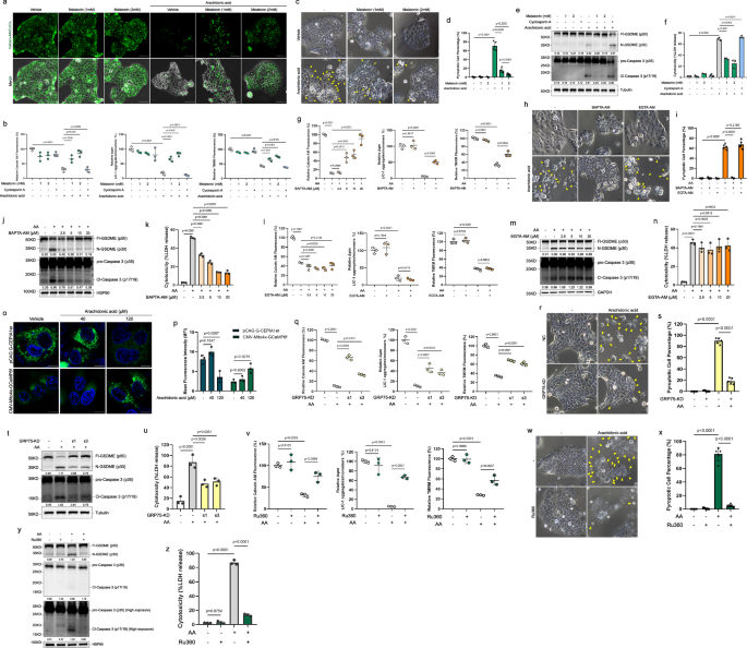 Fig. 4: Ca2+ is responsible for irreversible mPT upon arachidonic acid treatment.