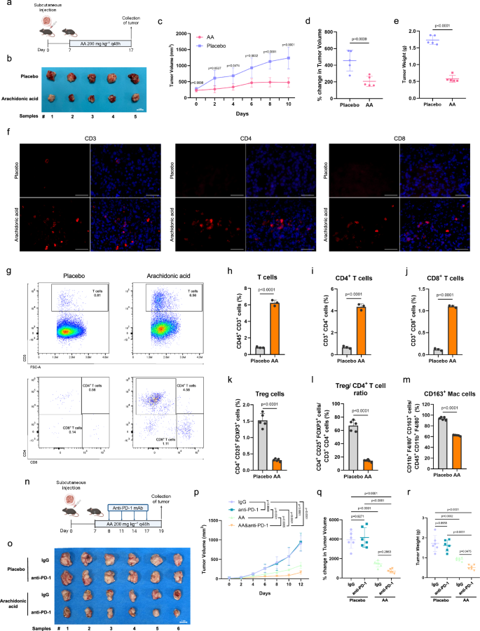 Fig. 7: Arachidonic acid induced pyroptosis recruits immune cells infiltration and synergizes with anti-PD-1 in immunocompetent PDAC models.