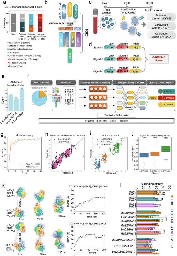 Fig. 1: Screening and selection of optimized CAR constructs using CARMSeD scoring.