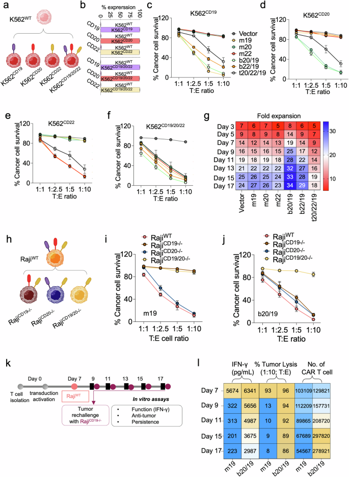 Fig. 2: ICOS/4-1BB co-stimulatory bispecific CAR T exhibit broad antigen recognition and enhanced cytotoxicity.