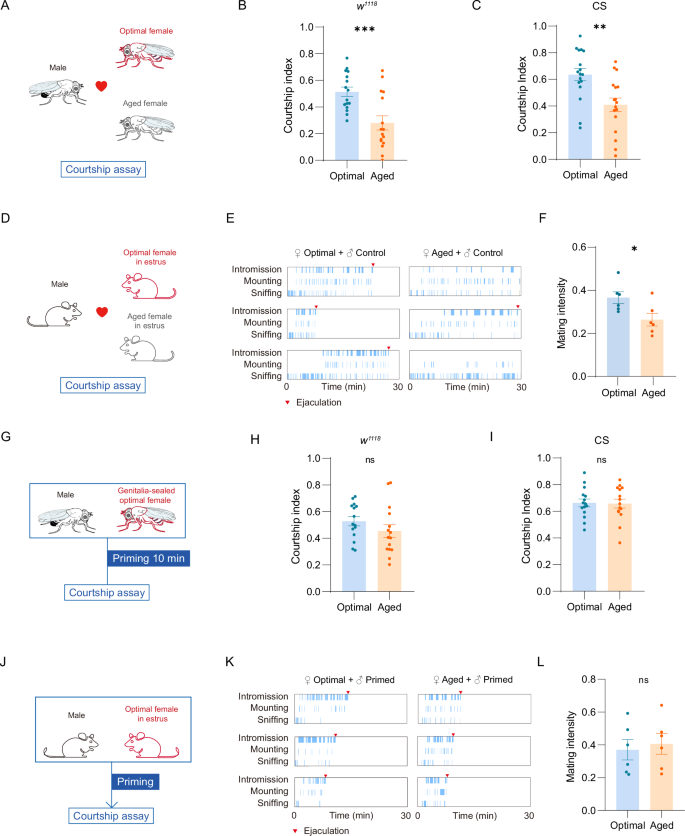 Fig. 1: Sexual priming regulates males’ mate preference.