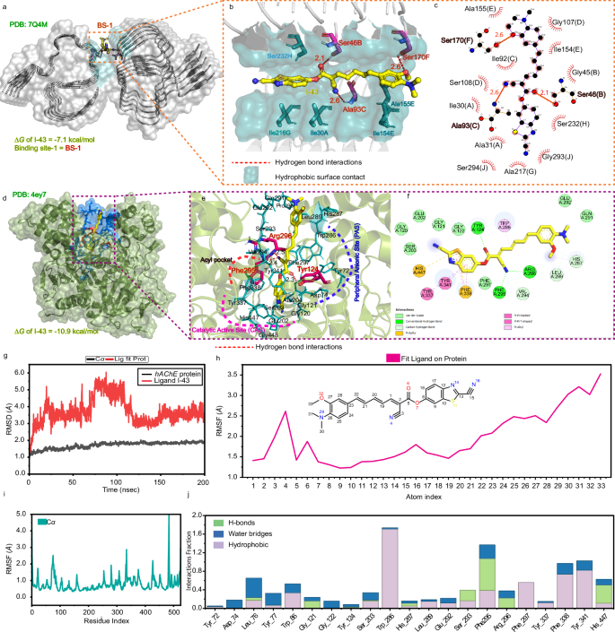 Fig. 10: Computational studies to investigate the binding potential of I-43 against filamentous Aβ peptide and hAChE.