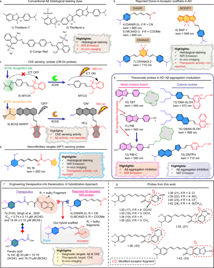 Fig. 1: Structural motifs of probes targeting AD biomarkers and our design approach.
