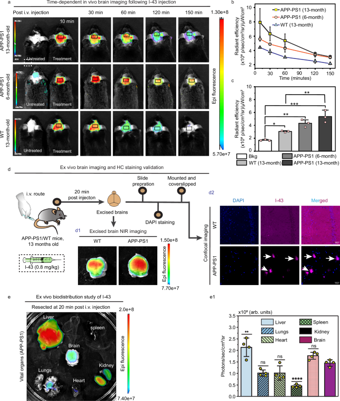 Fig. 6: In vivo fluorescence imaging and biodistribution of I-43 in WT and APP-PS1 mice.