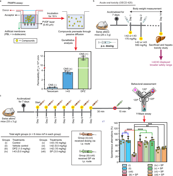 Fig. 9: Brain permeability, acute toxicity evaluation, and Y-maze assay.