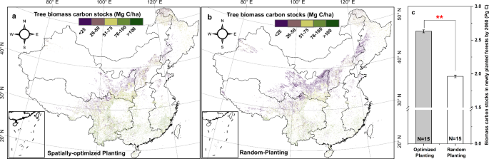 Fig. 5: Projected tree biomass carbon stock in newly planted forests by 2060.
