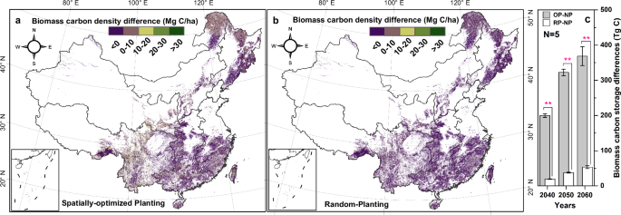 Fig. 6: Differences in forest biomass carbon density between forestation and non-forestation scenarios.