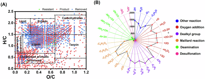 Fig. 6: DOM composition variation during WP humification.