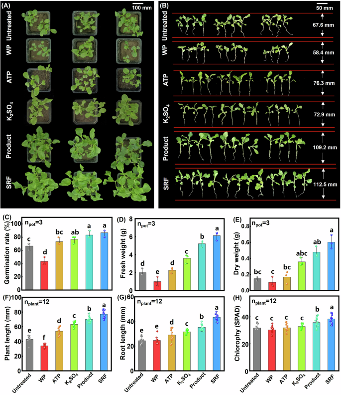 Fig. 8: Fertilization of product derived under optimal humification conditions (MW/2%KOH/2%PS).