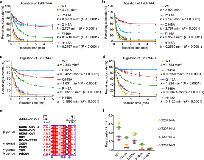Fig. 5: Contribution of nsp14 P140–L149 loop to enzymatic activity and substrate preference of ExoN.
