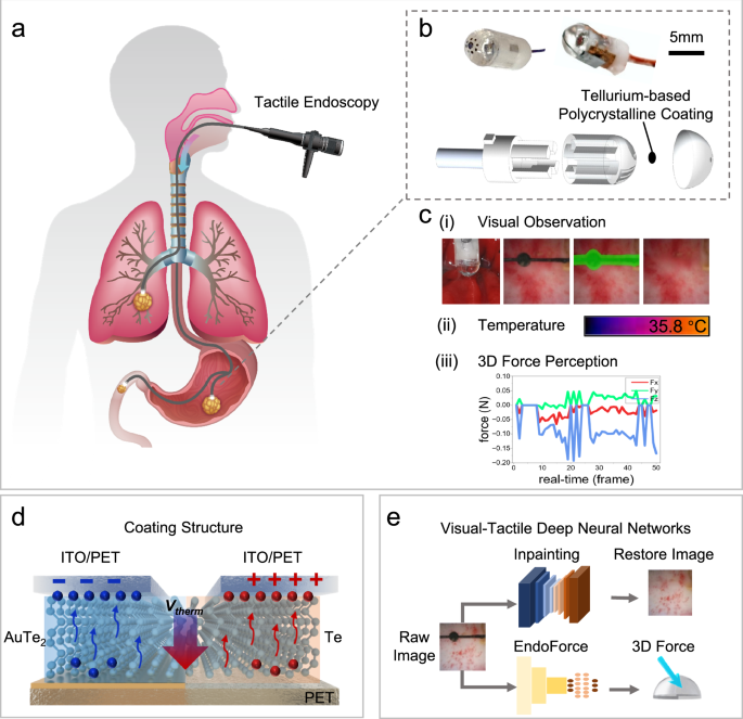 Fig. 1: Architecture and functional integration of the T-scope sensing system.