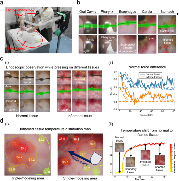 Fig. 5: Live rabbit visual-tactile diagnosis experiment.