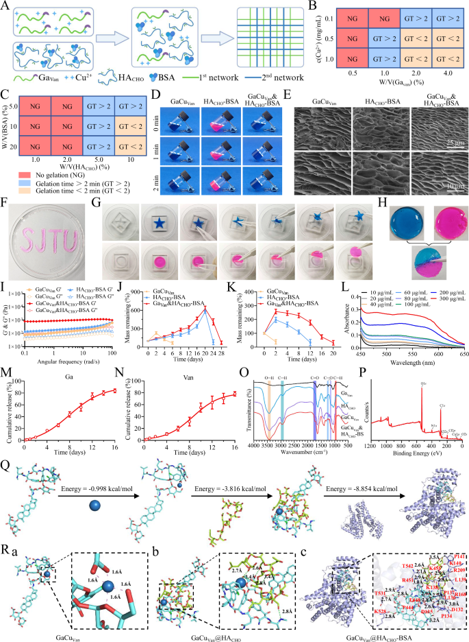 Fig. 2: Design route, characterization, and mechanism of GaCuVan&HACHO-BSA hydrogel.