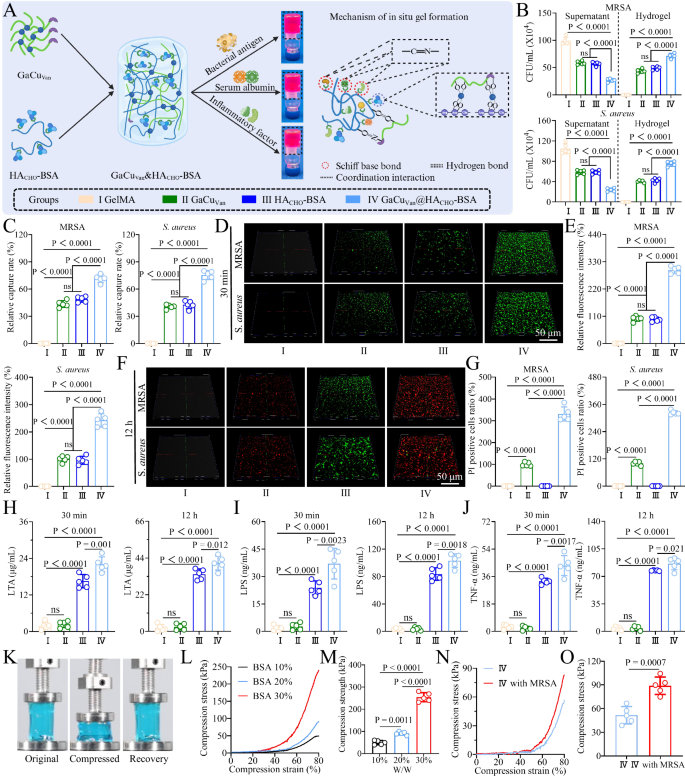 Fig. 3: Construction of GaCuVan&HACHO-BSA hydrogel with enhanced biomechanical properties through in situ adsorption of pathogen-associated molecules in infected microenvironments.