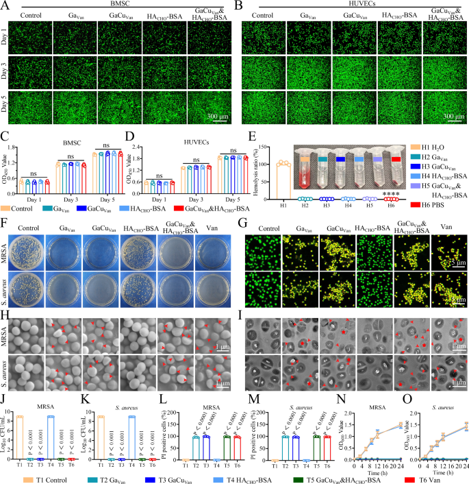 Fig. 4: Biocompatibility and antimicrobial properties of GaCuVan&HACHO-BSA hydrogel.