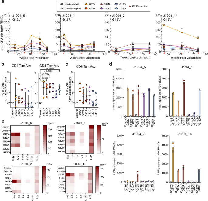 Fig. 4: mKRAS-specific Th1 CD4 T cells are detectable in patients in the extended phase of the vaccination schema.