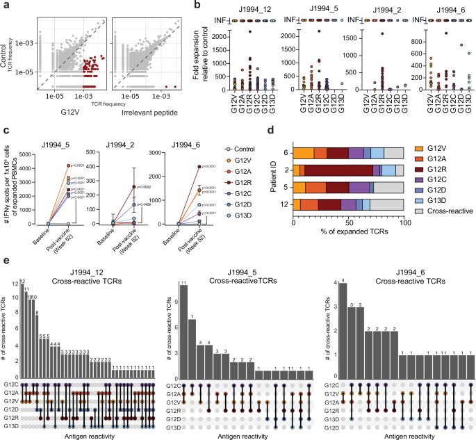 Fig. 5: Identification of mono- and cross-reactive mKRAS-T cells.