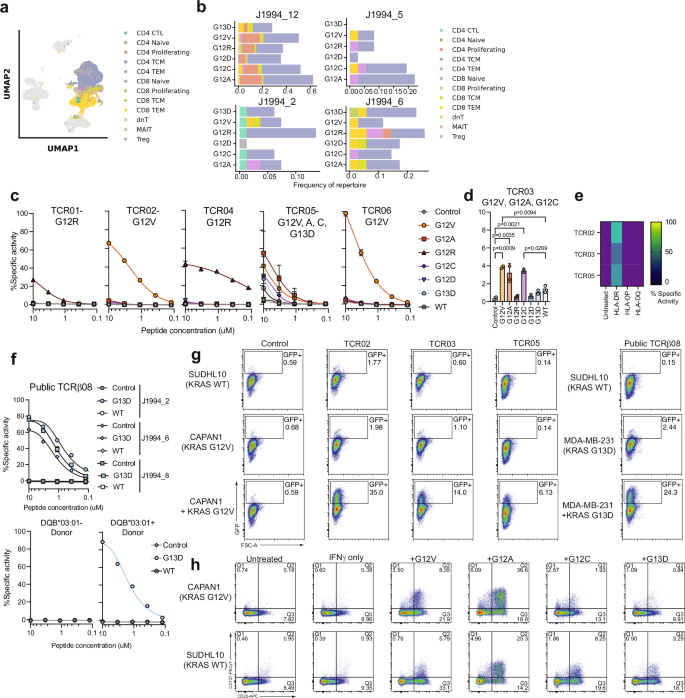 Fig. 6: Validation of mKRAS-specific T cell reactivity identified from peripheral blood of vaccinated patients.