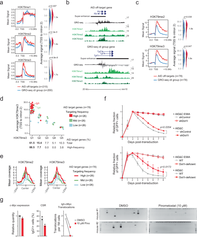 Fig. 3: DOT1L facilitates AID off-target activity.