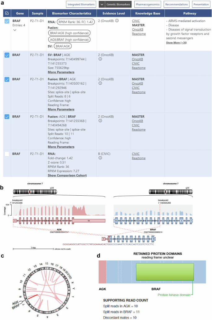Fig. 3: KC display of an AGK::BRAF fusion.