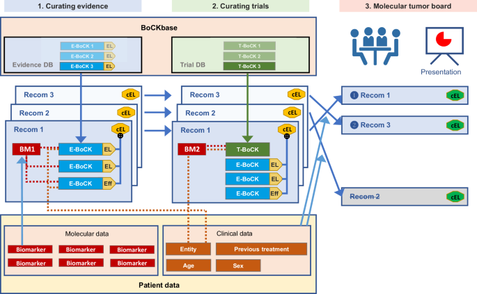 Fig. 5: Curation of evidence-based MTB recommendations.