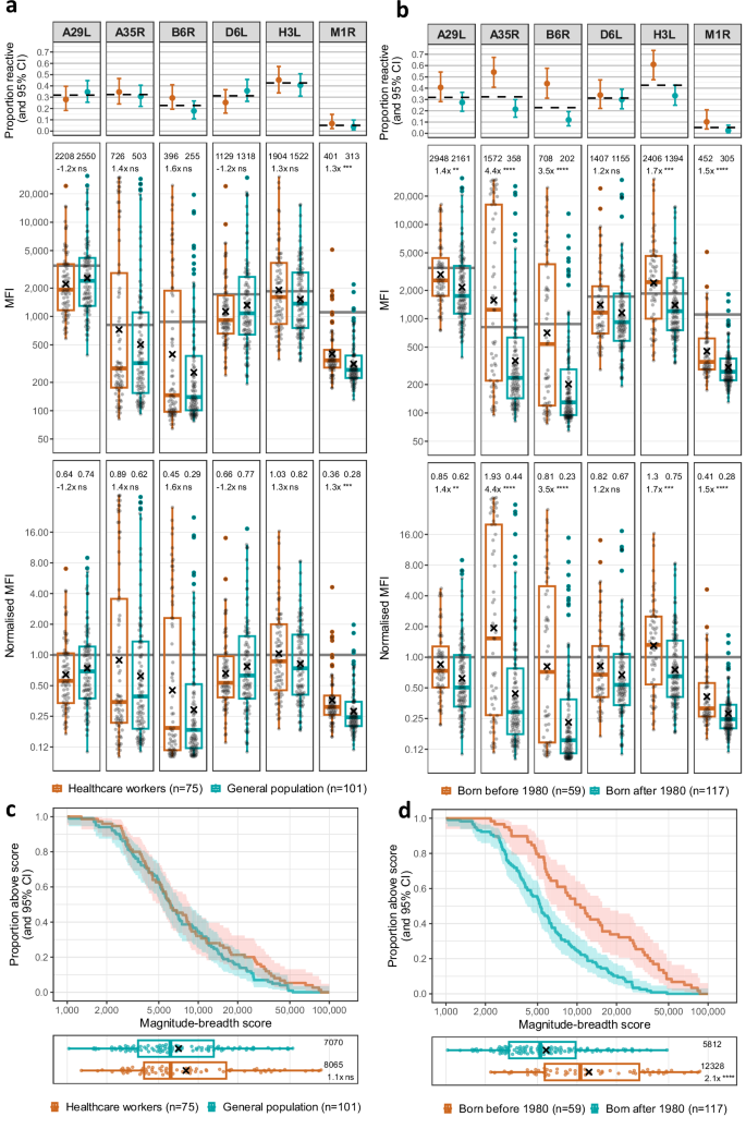 Fig. 3: MPXV-specific IgG responses by occupational status and birth cohort.