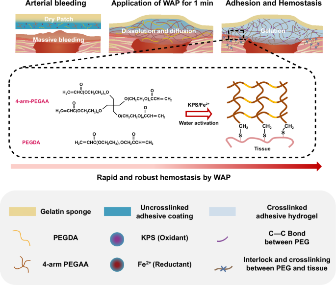 Fig. 1: Schematic illustrations of WAP.