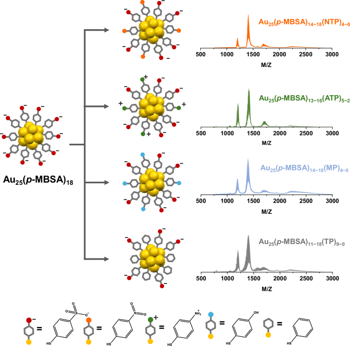 Fig. 5: Versatility of interphase mass transfer-assisted ligand exchange method.