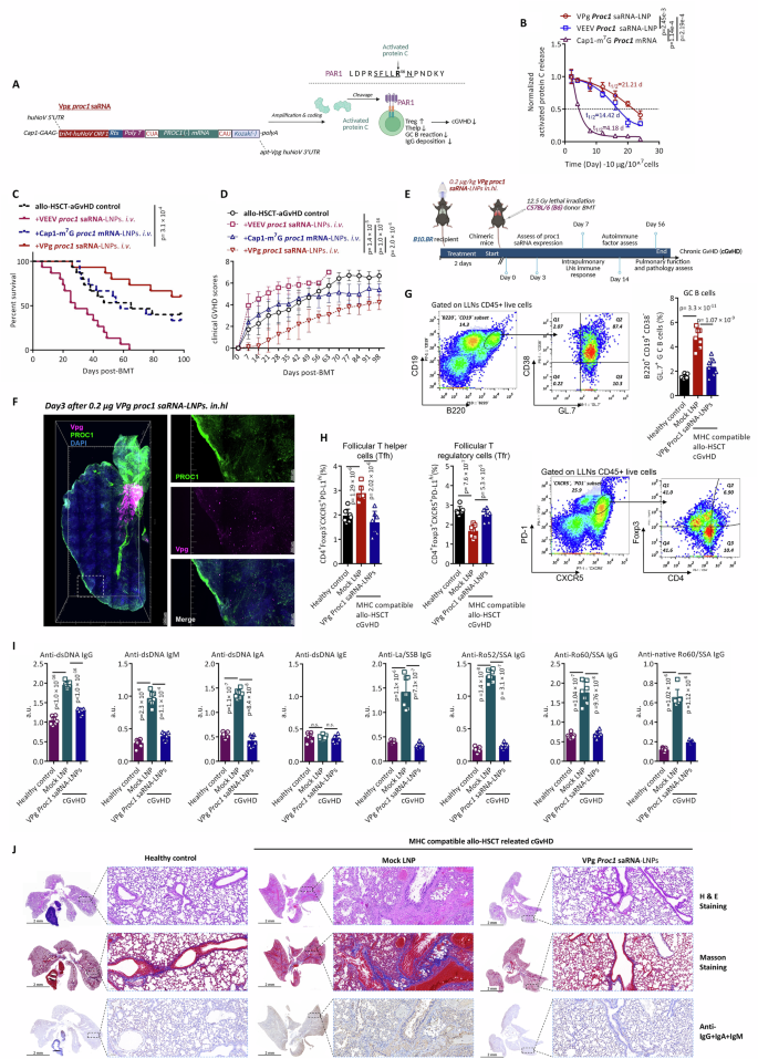 Fig. 7: VPg Proc1-saRNA alleviates graft-versus-host disease.