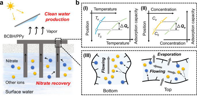 Fig. 1: The design inspiration of BPEP.