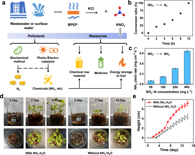 Fig. 5: Discussion on BPEP.