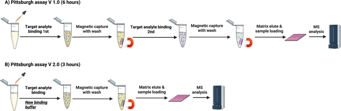 Fig. 6: Schematic illustration of the original and improved versions of the Pittsburgh plasma Aβ (PAβ) assays by immunoprecipitation-mass spectrometry (IP-MS).