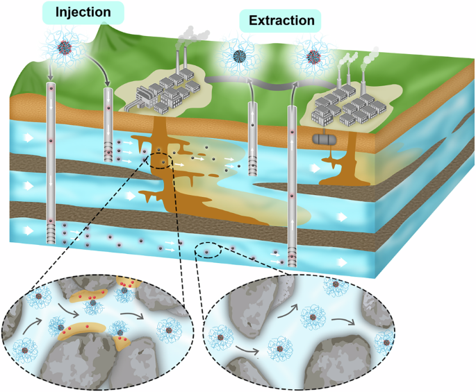Fig. 1: Schematic illustration of the push-and-pull strategy to deploy the nano reporter for FPOC detection in the subsurface.