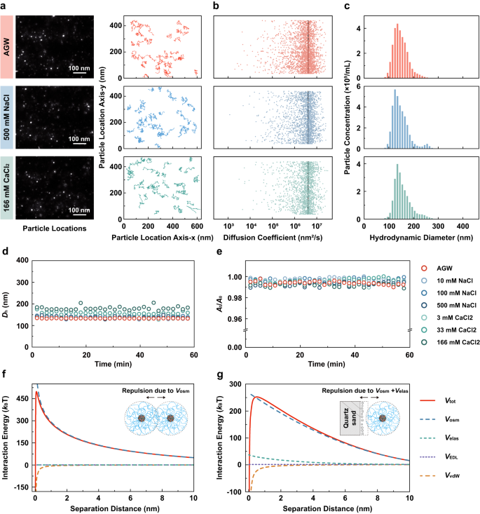 Fig. 5: High colloidal stability of the nano reporter demonstrated with nanoparticle tracking analysis, dynamic light scattering, sedimentation experiments, and XDLVO calculations.