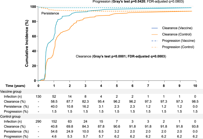 Fig. 2: Competing cumulative risks of clearance, progression (to CIN2 + ), and persistence of HPV-16/18 infections in the vaccine and control group.
