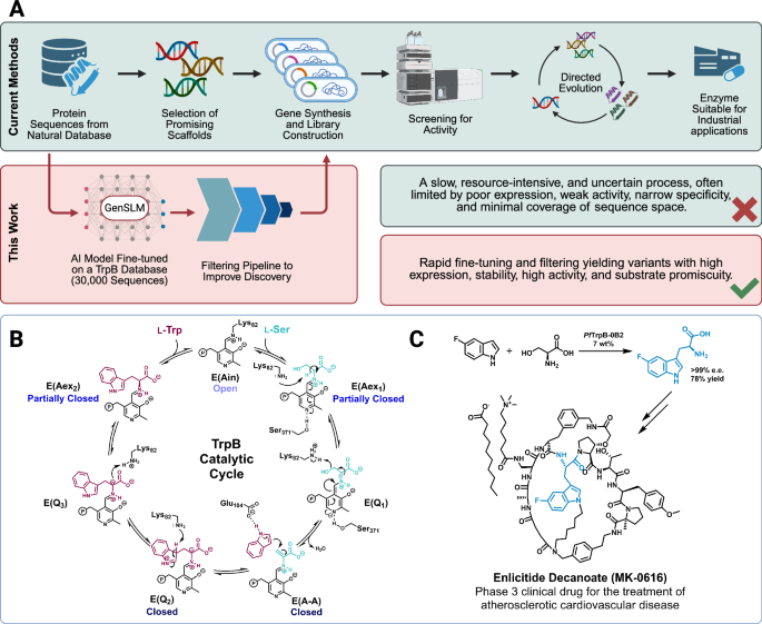 Fig. 1: GenSLM-TrpBs: a workflow from in silico design to industrially relevant catalysts.