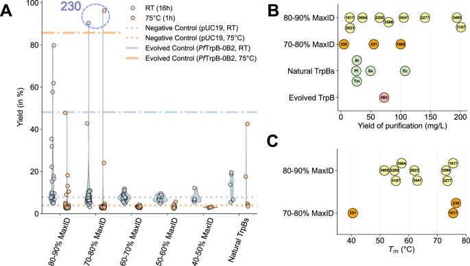 Fig. 3: Tryptophan production and biophysical properties of GenSLM-TrpBs.
