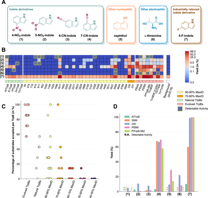 Fig. 4: Reaction yields of GenSLM-TrpBs with non-natural substrates.