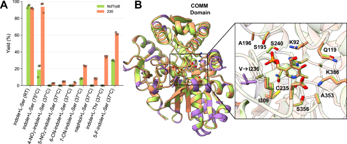 Fig. 5: Comparison of GenSLM-TrpB 230 and its closest natural homolog from Neobacillus drentensis (NdTrpB).