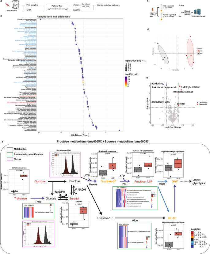 Fig. 6: Pathway-level flux analysis reveals dysregulated fructose metabolism.