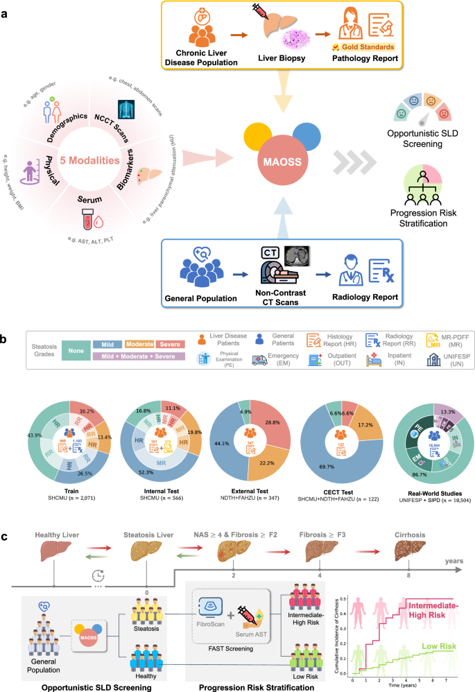 Fig. 1: Overview of the study, model development and clinical translation.