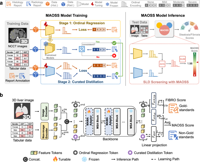 Fig. 8: Overview of MAOSS development.