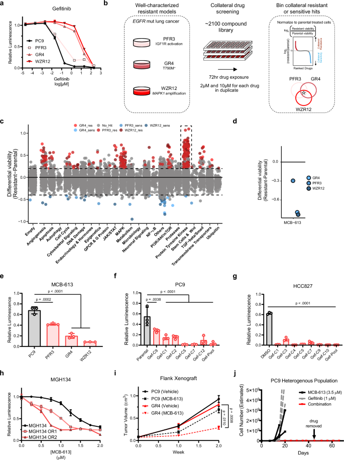 Fig. 1: Drug resistance promotes collateral sensitivity to MCB-613 in EGFR-mutant NSCLC.