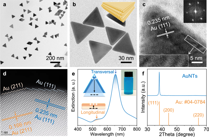Fig. 3: Characterization of AuNTs.